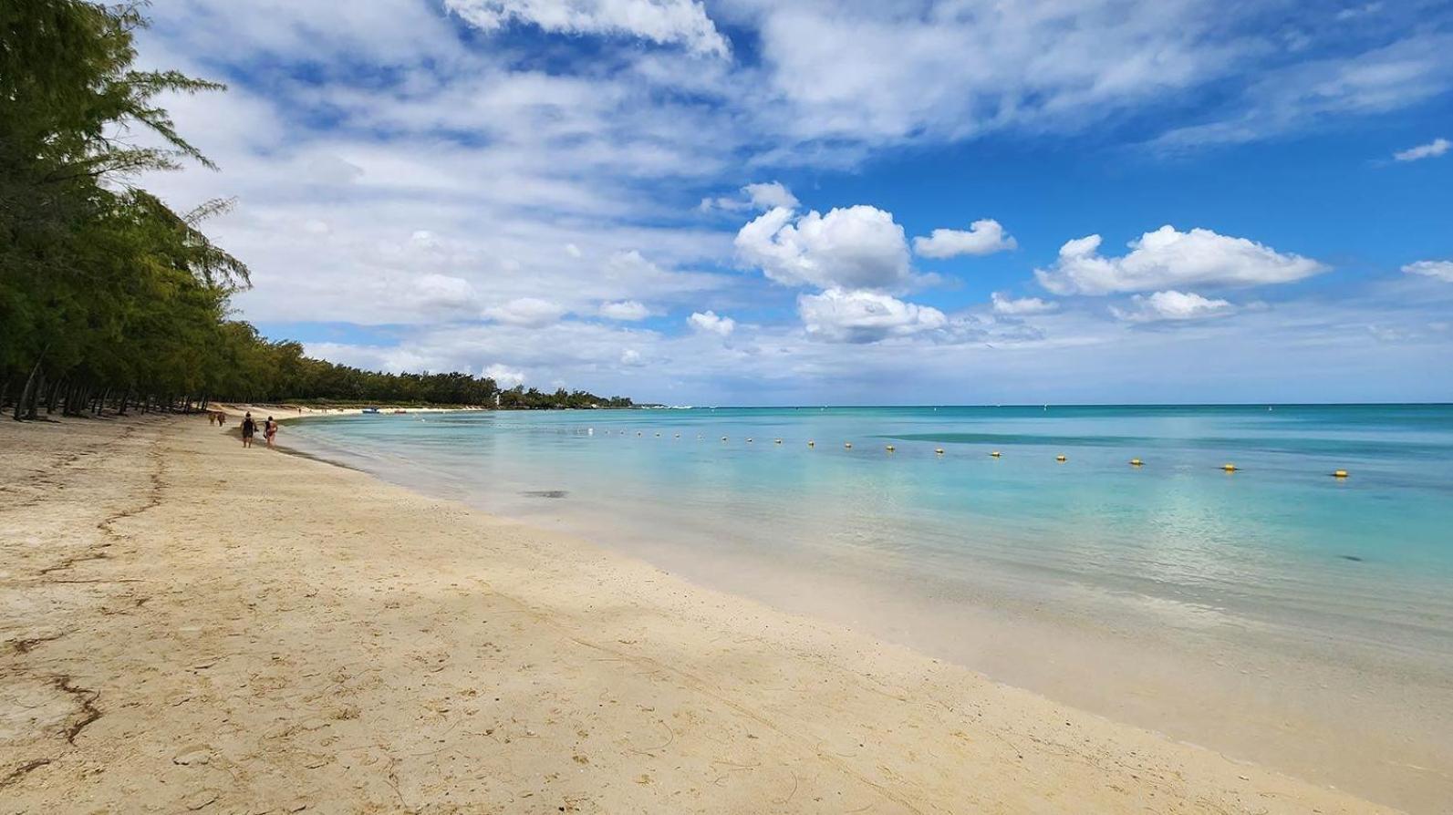 Le Dauphin Du Lagon Bleu - Plages De Mont Choisy Et De Trou Aux Biches Apartment *