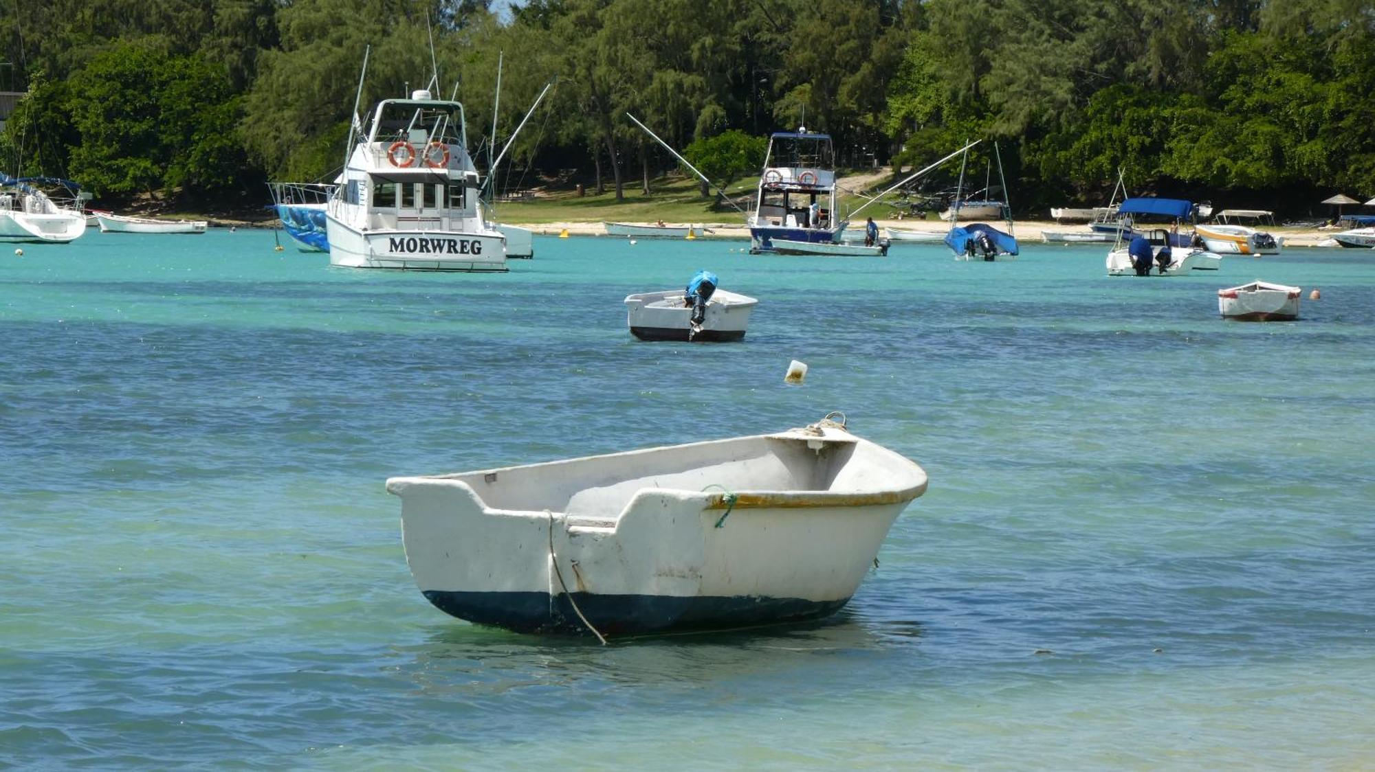 Le Dauphin Du Lagon Bleu - Plages De Mont Choisy Et De Trou Aux Biches *