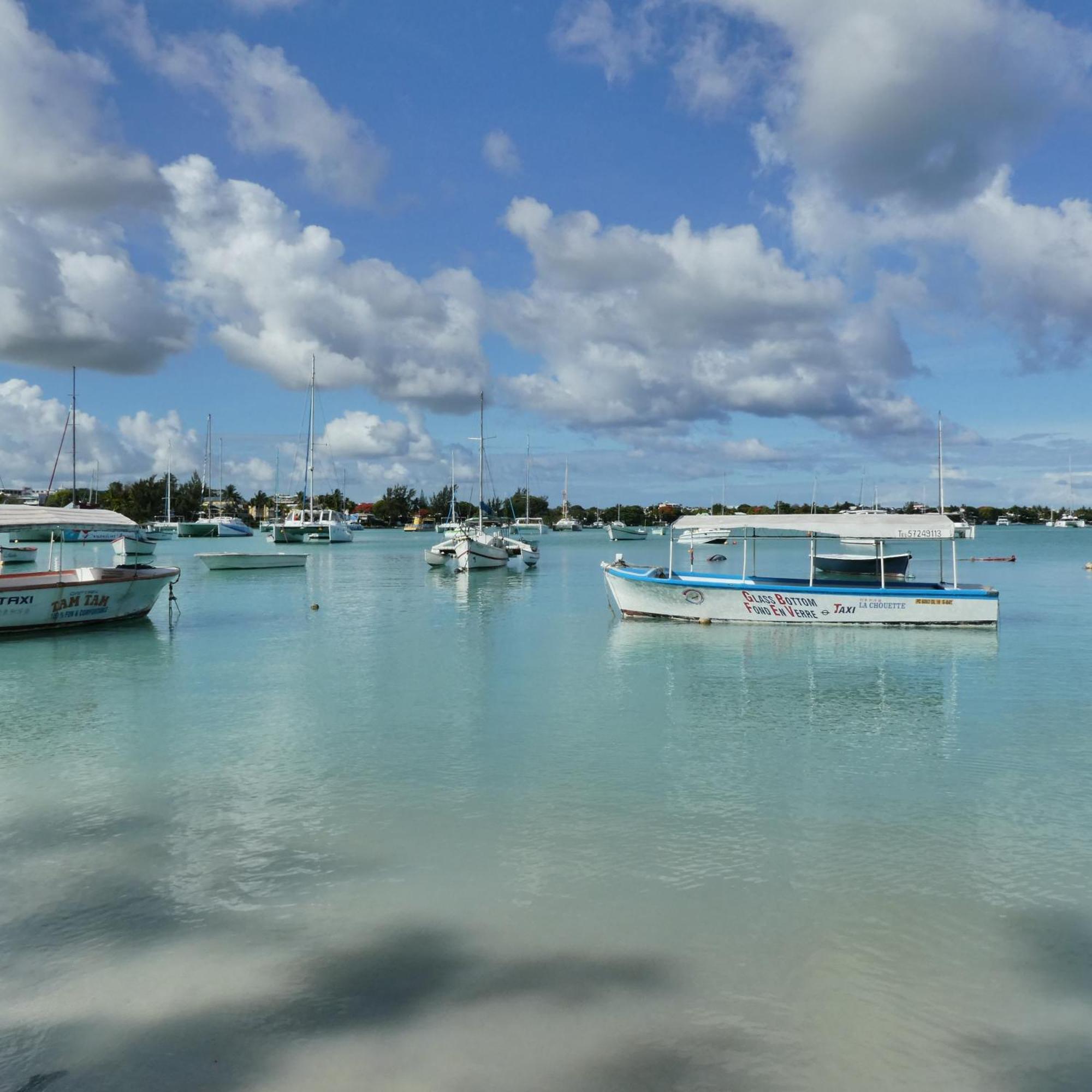 Le Dauphin Du Lagon Bleu - Plages De Mont Choisy Et De Trou Aux Biches * Grand Baie